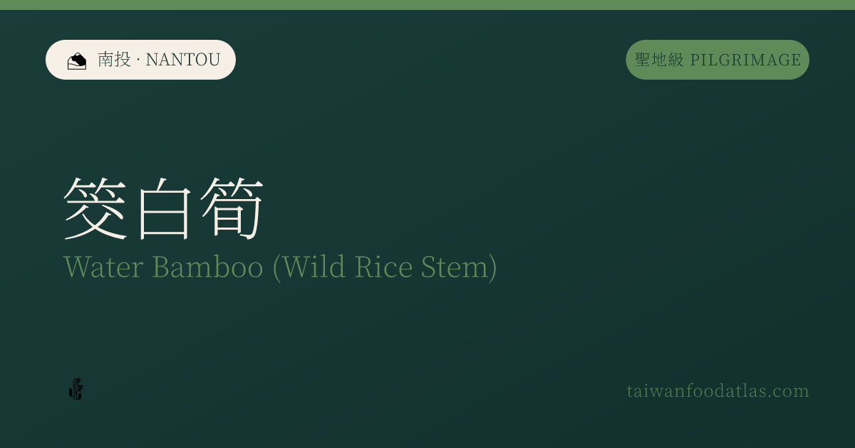筊白筍