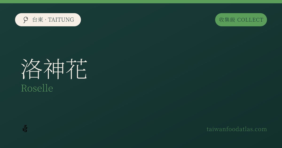 洛神花