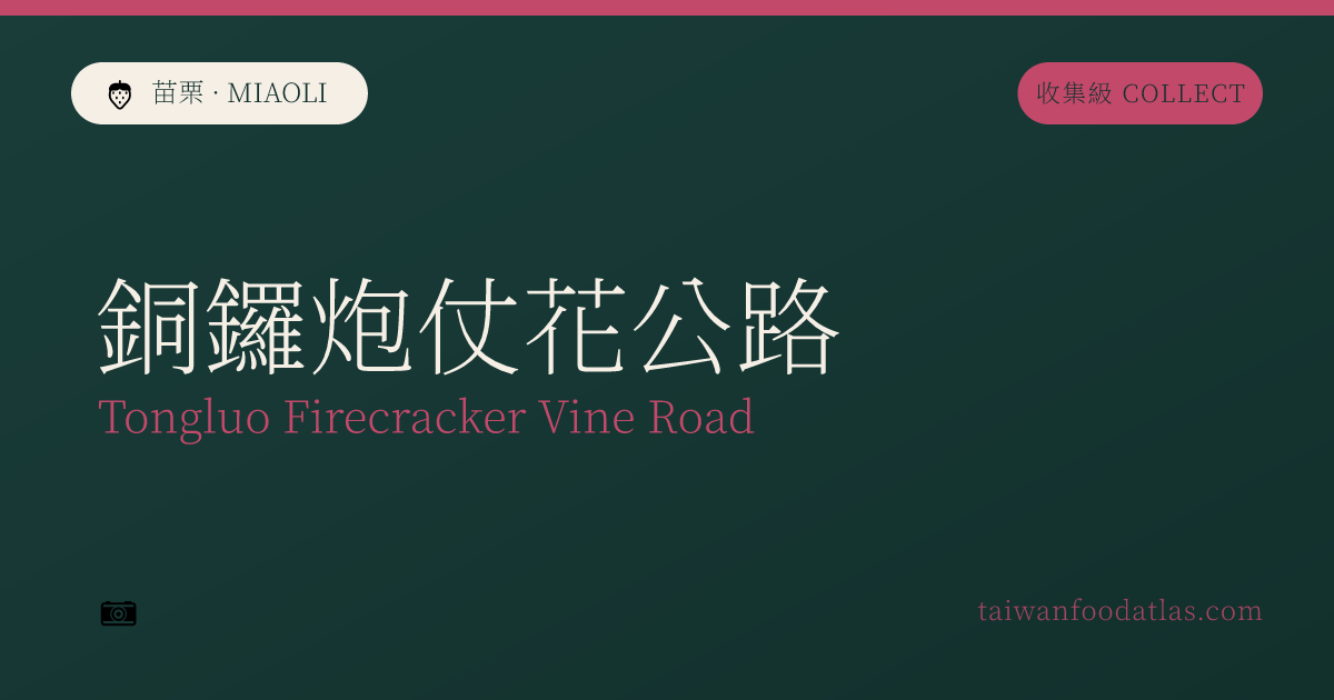 銅鑼炮仗花公路