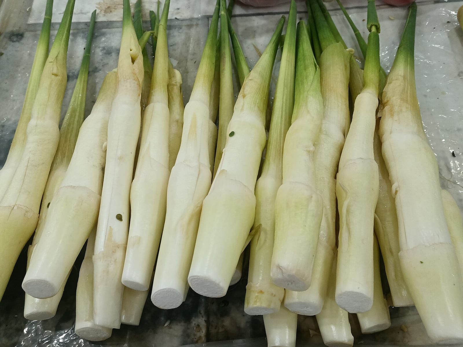 Water Bamboo (Wild Rice Stem)