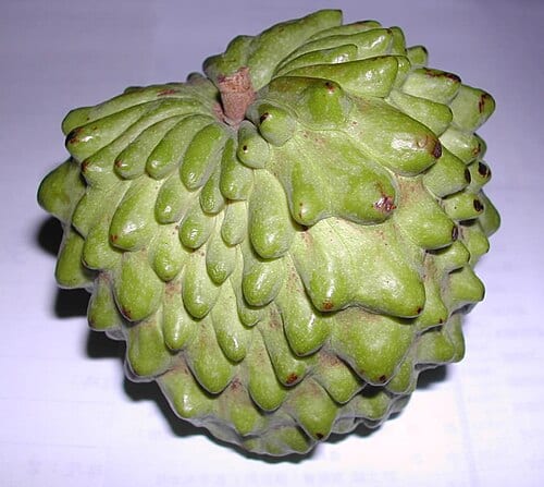 鳳梨釈迦