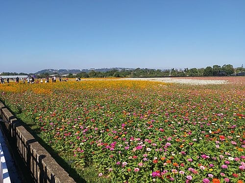 新社花海