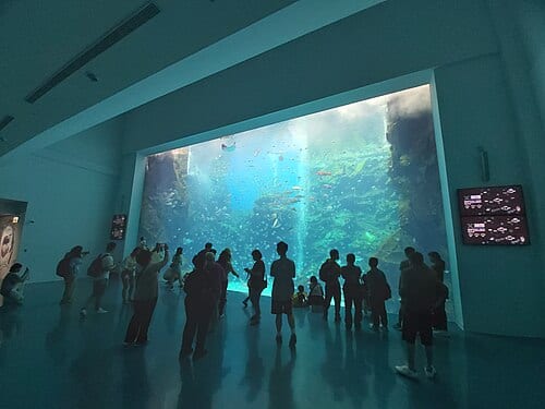 Xpark水族館
